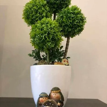 Viana Do Castelo - Village Casa P - Conforto Qualidade Natureza *