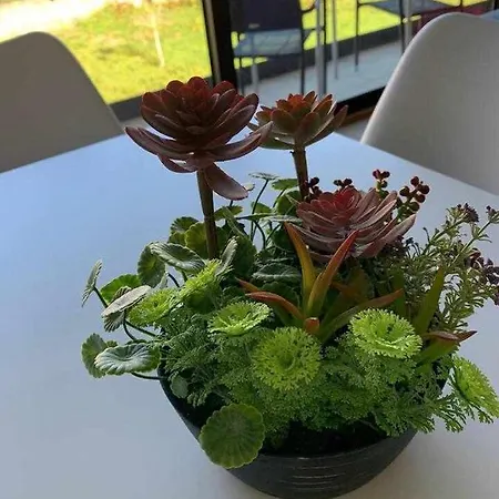 Viana Do Castelo - Village Casa P - Conforto Qualidade Natureza Сasa de vacaciones Amonde