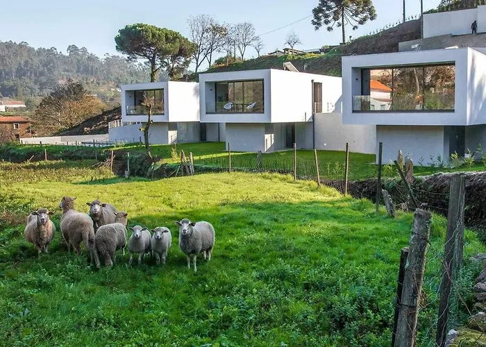 Viana Do Castelo - Village Casa P - Conforto Qualidade Natureza *