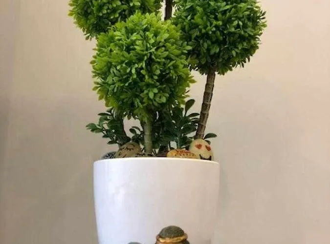 Viana Do Castelo - Village Casa P - Conforto Qualidade Natureza *