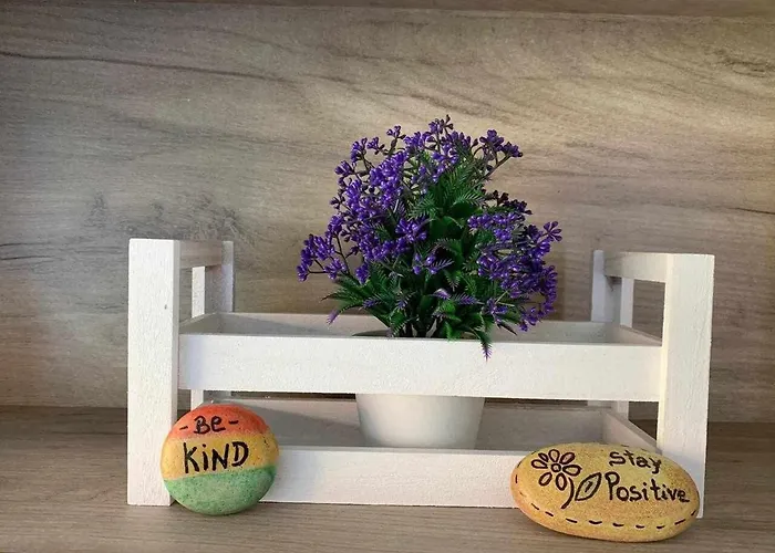 Viana Do Castelo - Village Casa P - Conforto Qualidade Natureza *