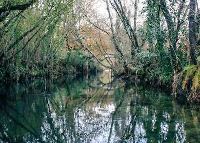 Viana Do Castelo - Village Casa P - Conforto Qualidade Natureza *