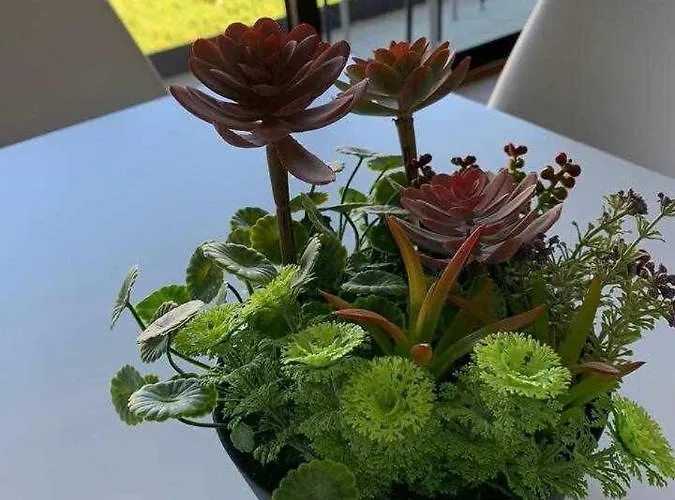 Viana Do Castelo - Village Casa P - Conforto Qualidade Natureza Дом отдыха Amonde